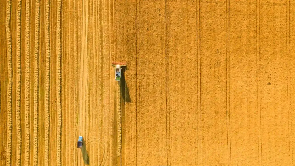 Ein Feld abernten. Analytische Lösungen für landwirtschaftliche Produkte